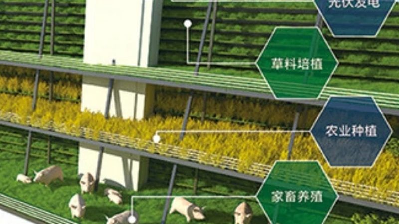 农资价格波动背后的秘密：如何解读行情走势图**
