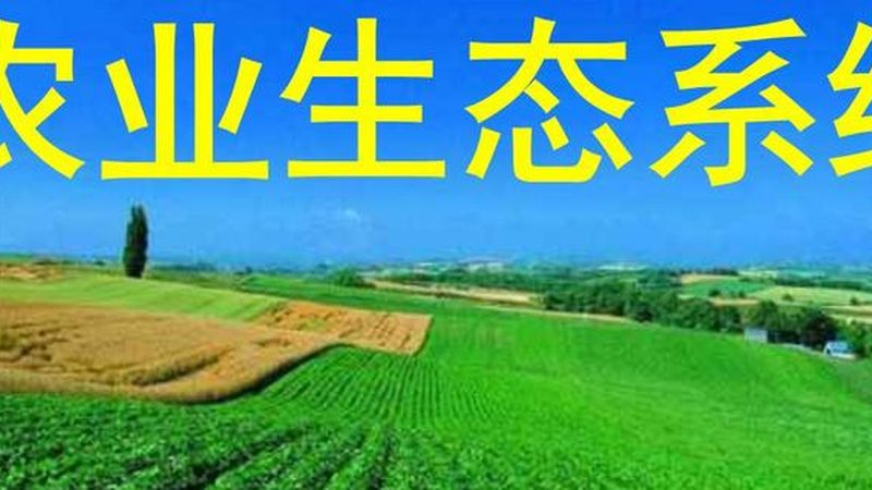 农业产业园废气处理：技术解析与挑战应对**