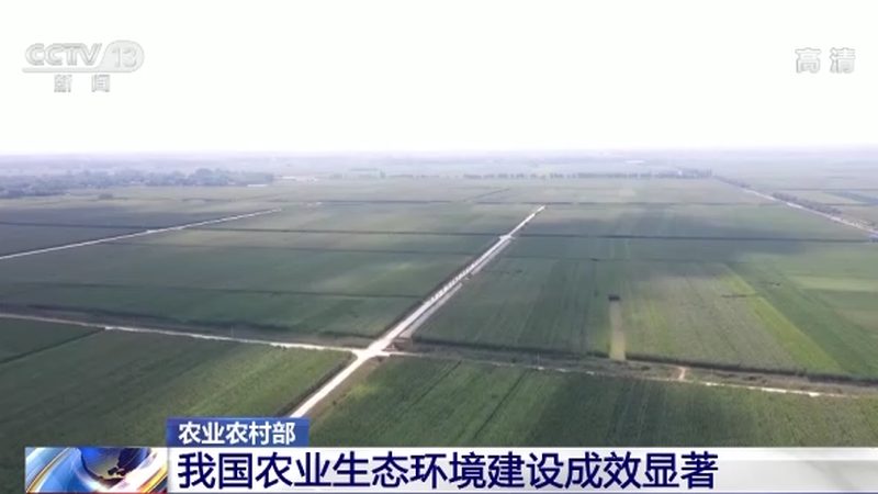林下生态养殖，品种多样选哪好？**