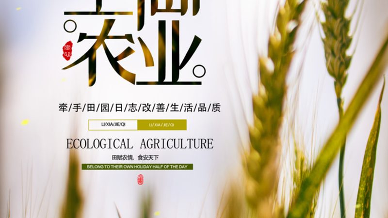 食堂配送资质，那些你不得不知的要点